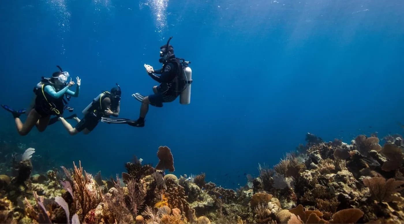 Dive Spot